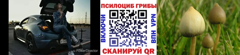 Галлюциногенные грибы ЛСД  даркнет формула  Отрадная  купить наркотики сайты 